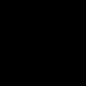 Meet your Posher, Maddie